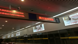 海南风味——舌尖上的热带风情